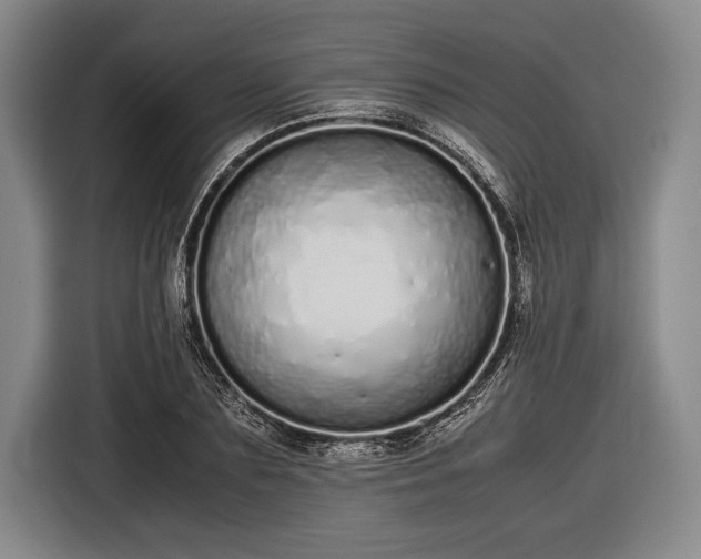 X0000116600883200912181144