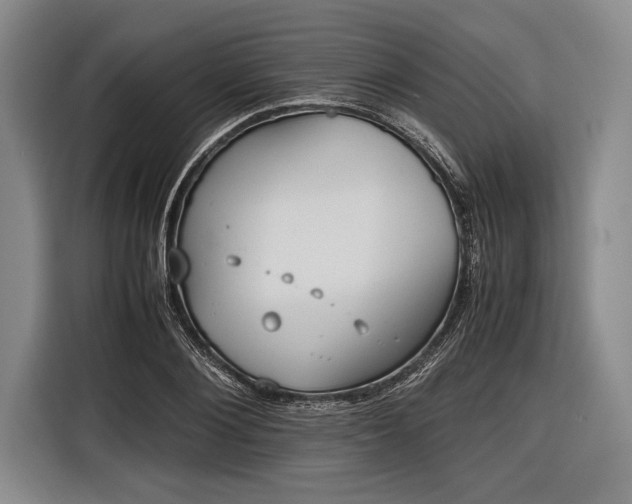 X0000116600884200912181144
