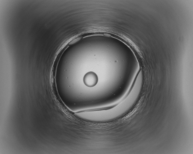 X0000116600885200912181144