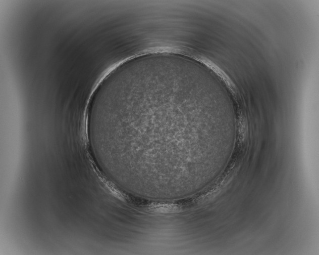 X0000116600886200912181144