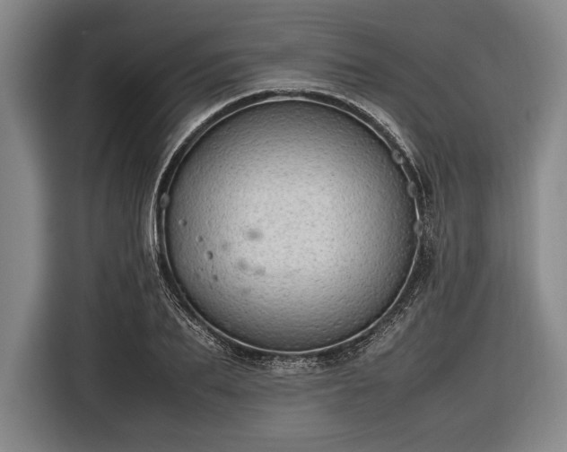 X0000116600887200912181144