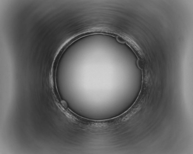 X0000116600888200912181144
