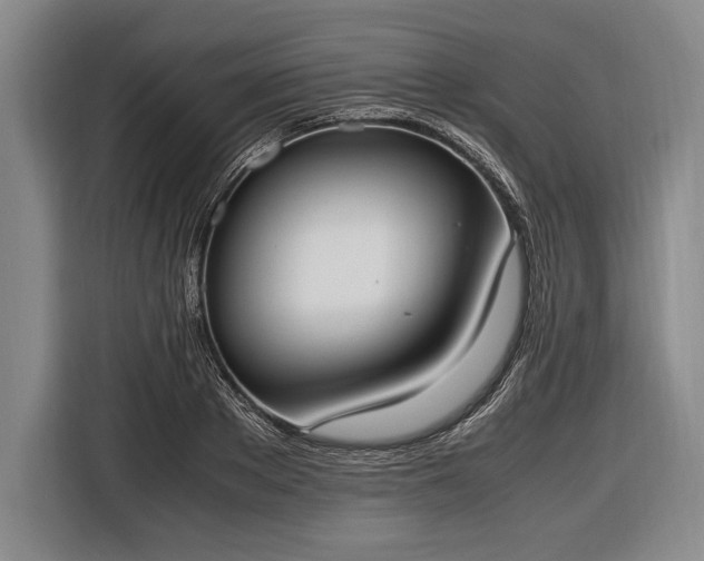X0000116600889200912181144