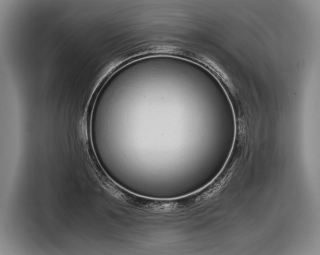 X0000116600891200912181144