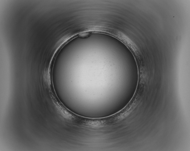 X0000116600892200912181144