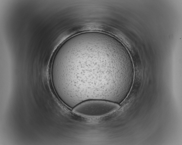 X0000116600893200912181144