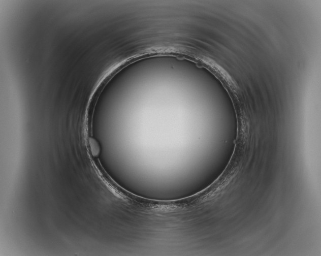 X0000116600894200912181144
