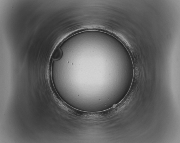 X0000116600895200912181144
