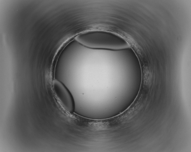 X0000116600896200912181144