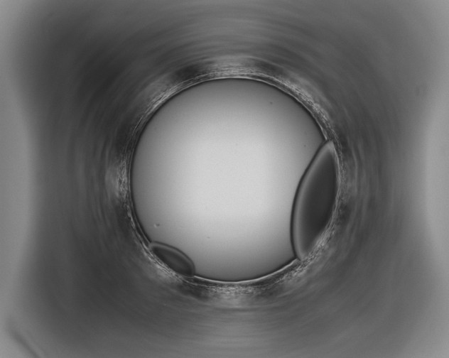 X0000116600897200912181144