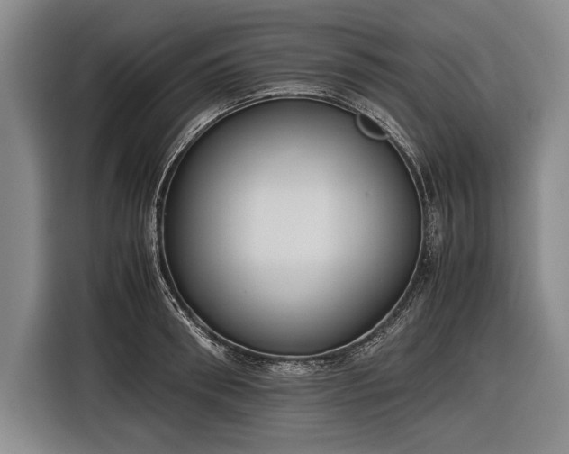 X0000116600898200912181144