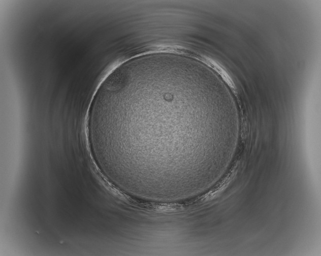 X0000116600899200912181144