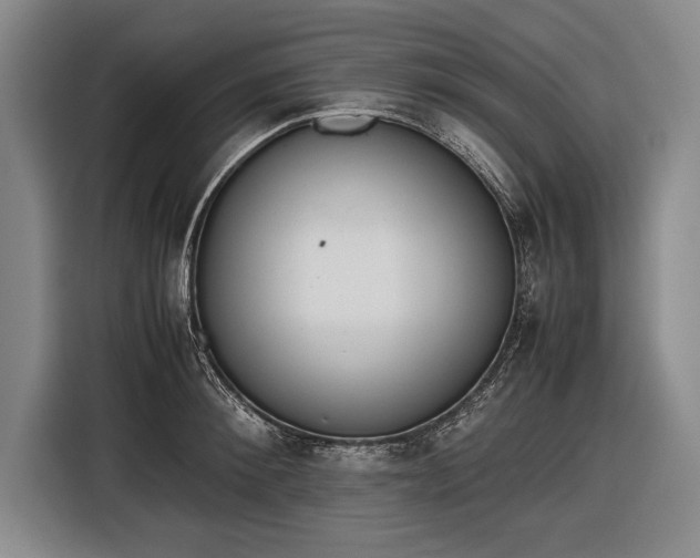 X0000116600900200912181144