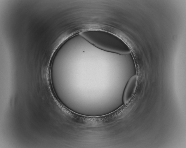 X0000116600901200912181144