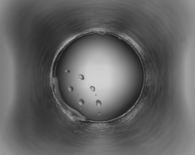 X0000116600902200912181143
