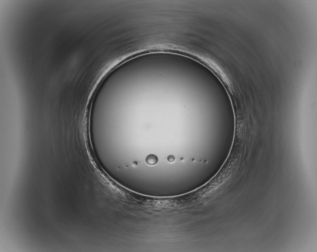 X0000116600903200912181143