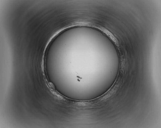 X0000116600904200912181143