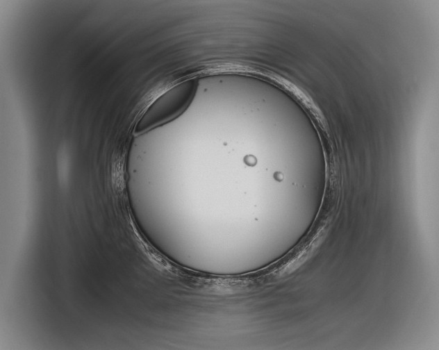 X0000116600905200912181143