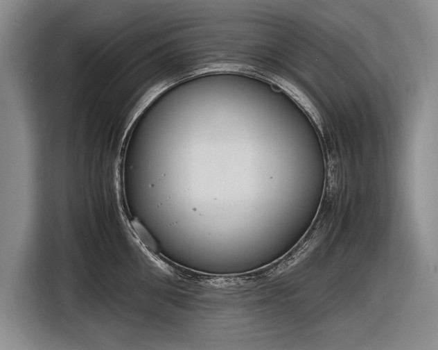 X0000116600906200912181143