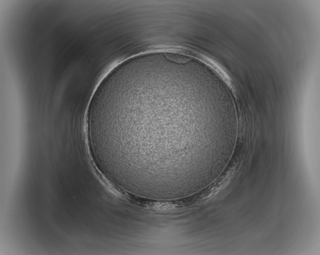 X0000116600907200912181143