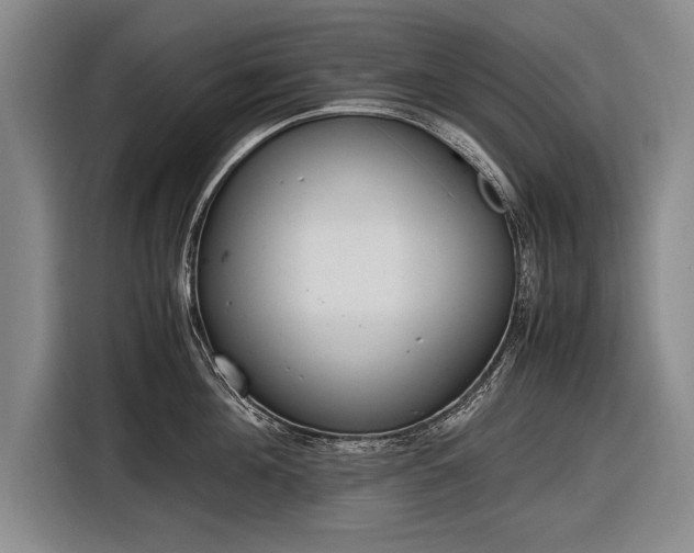 X0000116600908200912181143