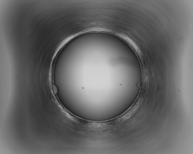 X0000116600910200912181143