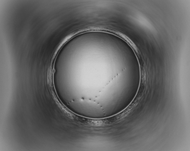 X0000116600911200912181143