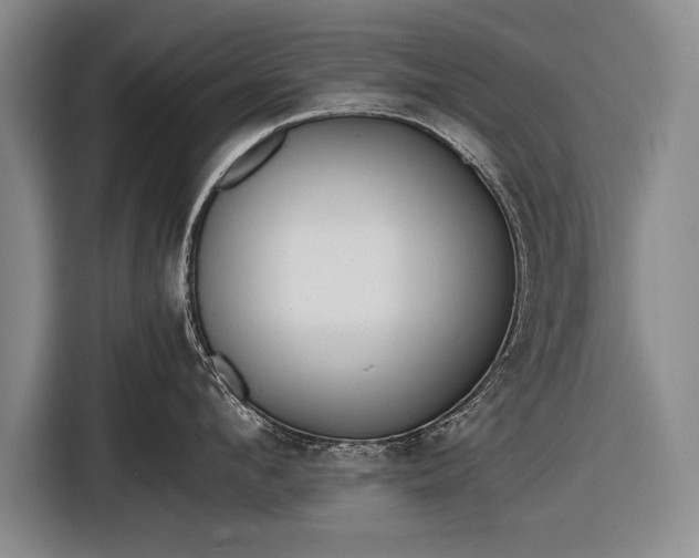 X0000116600912200912181143
