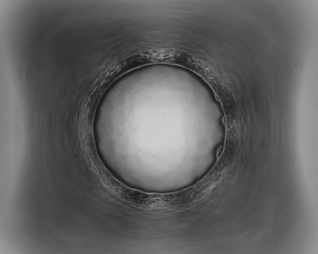 X0000116600913200912181143