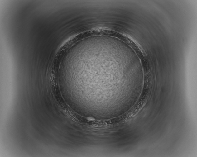 X0000116600919200912181143