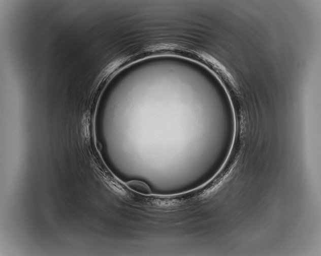 X0000116600921200912181143