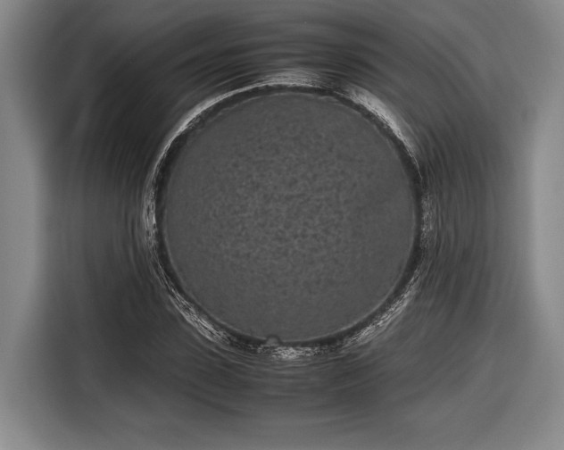 X0000116600923200912181143