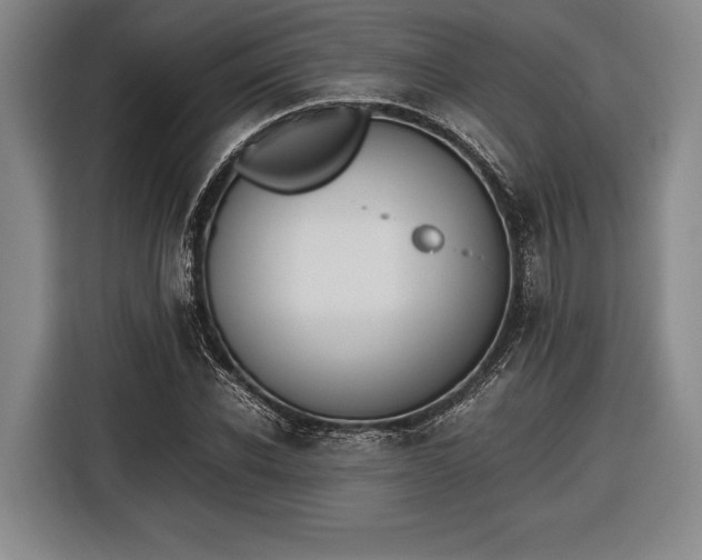 X0000116600926200912181143