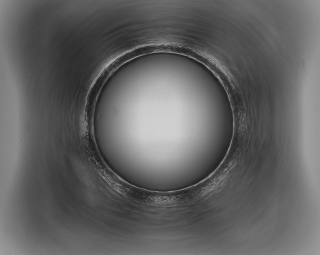 X0000116600927200912181143