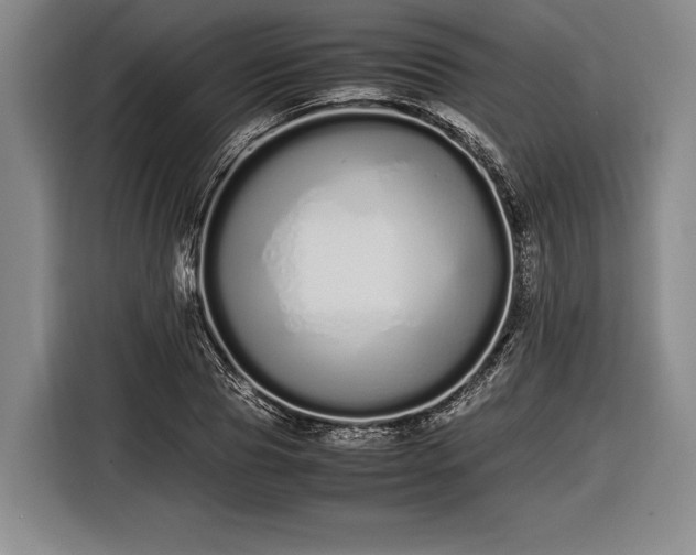 X0000116600929200912181143