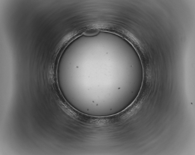 X0000116600930200912181143