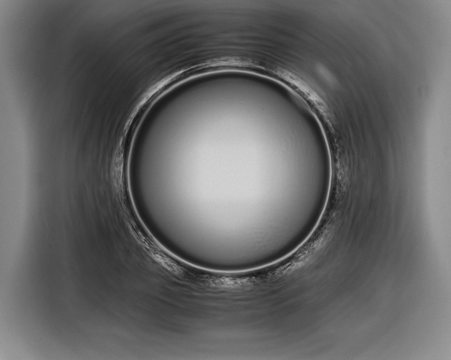 X0000116600933200912181143