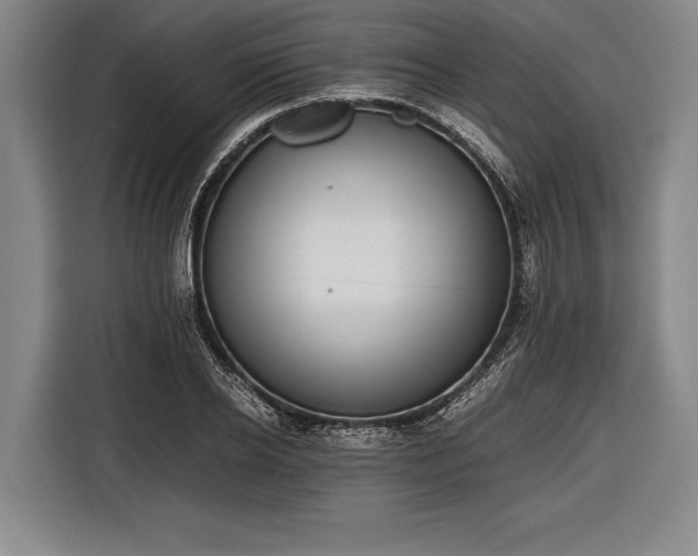 X0000116600934200912181143