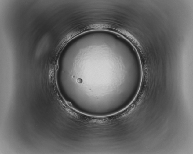 X0000116600937200912181143