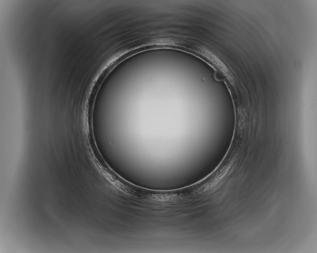 X0000116600939200912181143