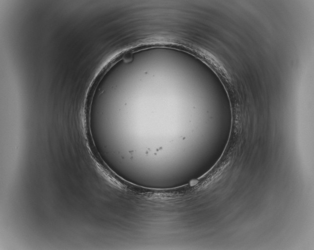 X0000116600942200912181143