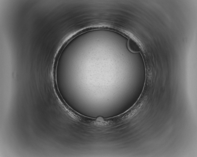 X0000116600943200912181143