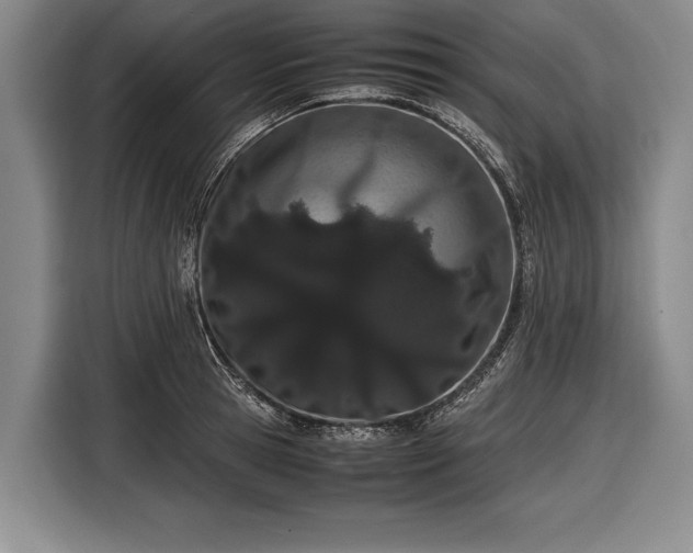 X0000116600945200912181143