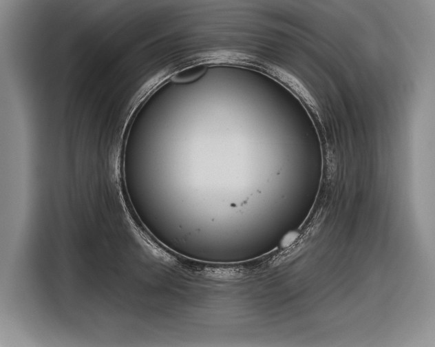 X0000116600946200912181143