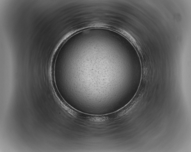 X0000116600947200912181143