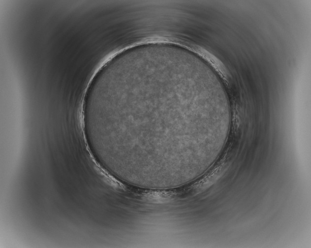 X0000116600950200912181143