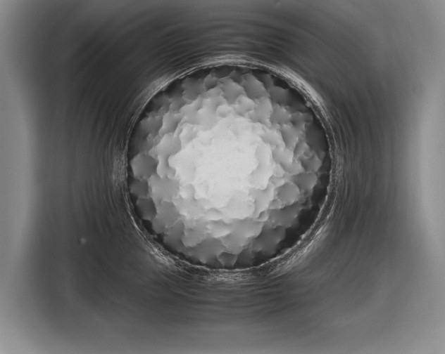 X0000116600953200912181143