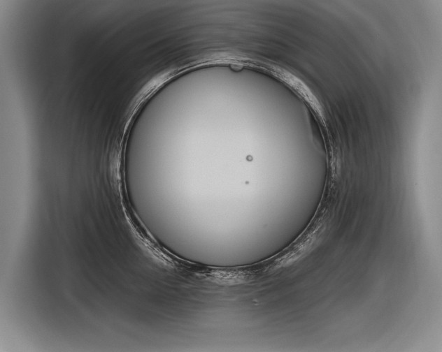 X0000116600954200912181143