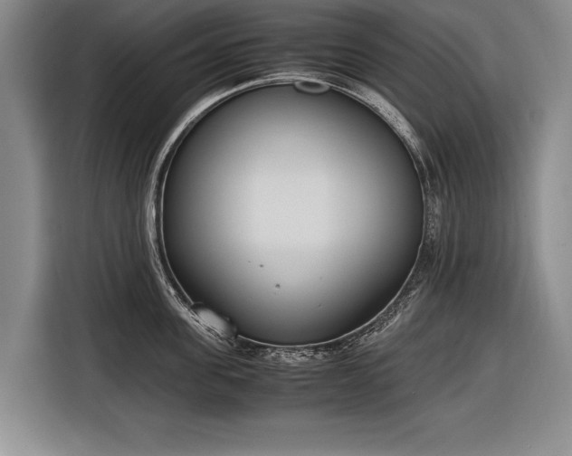 X0000116600955200912181143