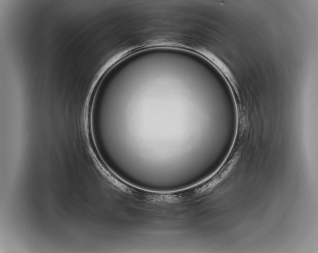 X0000116600957200912181143
